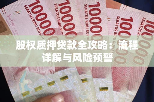 武汉股权质押贷款全攻略：流程详解与风险预警