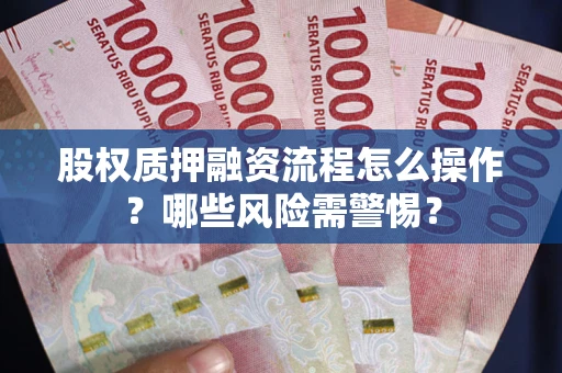武汉股权质押融资流程怎么操作？哪些风险需警惕？