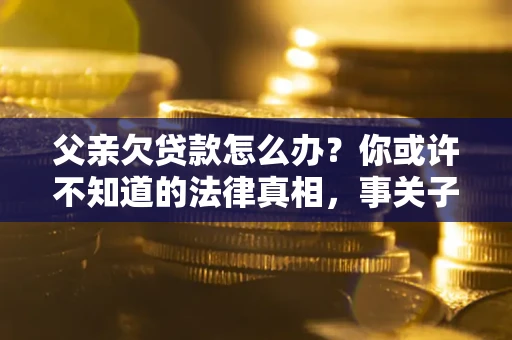 武汉父亲欠贷款怎么办？你或许不知道的法律真相，事关子女未来