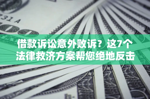 武汉借款诉讼意外败诉？这7个法律救济方案帮您绝地反击！