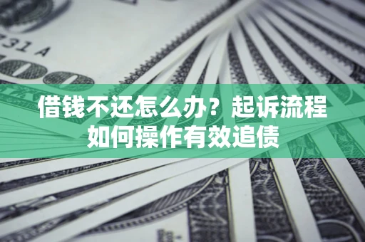 武汉借钱不还怎么办？起诉流程如何操作有效追债