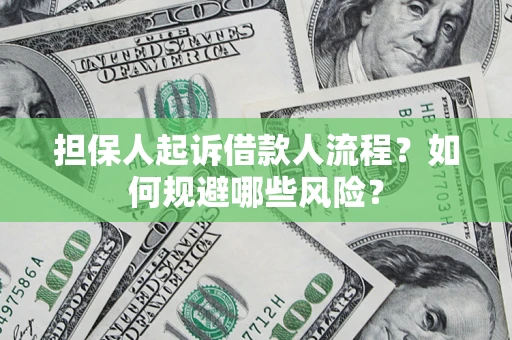 武汉担保人起诉借款人流程？如何规避哪些风险？