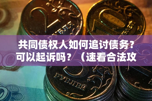 武汉共同债权人如何追讨债务？可以起诉吗？（速看合法攻略）