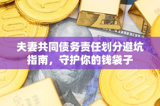 武汉夫妻共同债务责任划分避坑指南，守护你的钱袋子