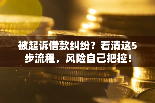 武汉被起诉借款纠纷？看清这5步流程，风险自己把控！