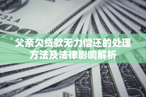 武汉父亲欠贷款无力偿还的处理方法及法律影响解析