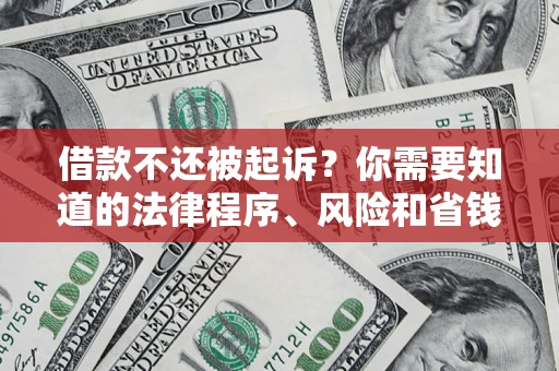 武汉借款不还被起诉？你需要知道的法律程序、风险和省钱技巧