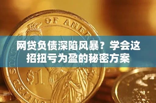 武汉网贷负债深陷风暴？学会这招扭亏为盈的秘密方案